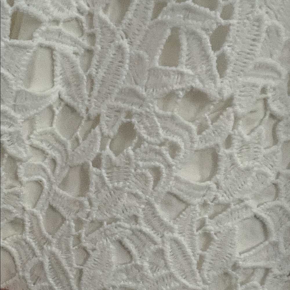 Astr Cream Lace Midi Dress - Picture 4 of 7